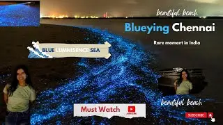 Blue Beach Chennai | ECR | Bioluminous Sea | India