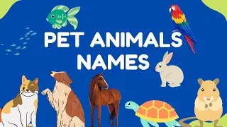 Pet Animals Names with Pictures | Pet Animals with Pictures