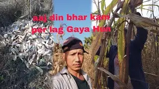Aaj din bhar mukkai Thor raha hun  bahut thak Gaya Hun kam karte karte