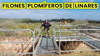 LINARES 