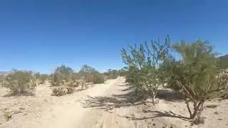 Go Baja Adventures: Sandy Trail