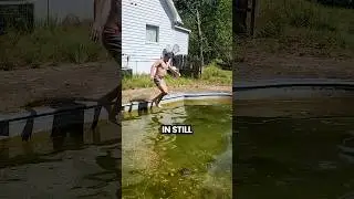 Why STILL Water is Deadly? 🦠☠️