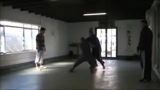 Cotton Boxing Yang Mian Quan mastering Push Hands 👍💖
