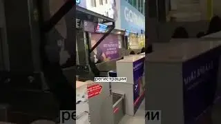 Баран навёл шороху в аэропорту #shorts #новости #баран