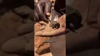 Откуда у племён берётся железо для стрел? Удивительно история 📌💥