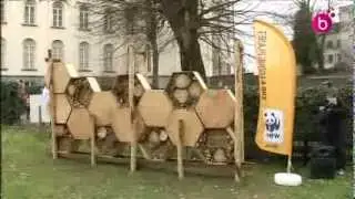 H&ocirc;tel pour insectes &agrave; Ixelles