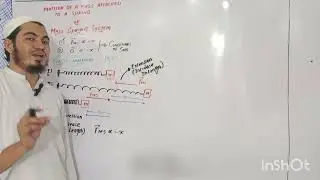 Mass-Spring System: Simple Harmonic Motion Explained! | Physics Demo & Derivation | NH Mentor