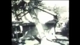 Minamata Disease