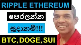 RIPPLE විසින් ETHEREUM පෙරලන්න සූදානම්!!! | BITCOIN DOGE, SUI, AND AI