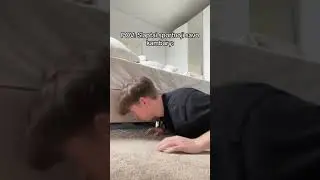 POV: Slaptai sportuoji savo kambaryje | Talžūnas | Pildyk  #pildyk #pildykai #talzunas