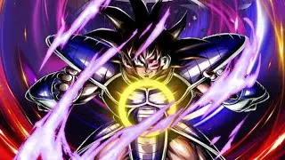 6 Star Turles with double support Showcase