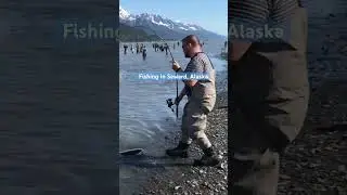 Fishing in Seward, Alaska off Nash Road #shorts