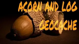 Evil Acorn and Log Geocache