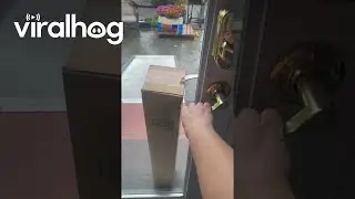When You Get a Package but They Lock You in Your Own House || ViralHog
