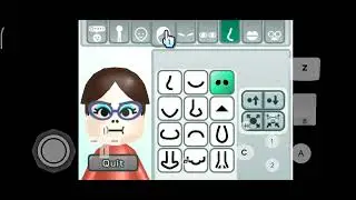 Mii Channel on dolphin!