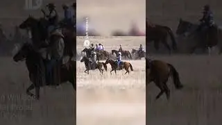 Cowboys Herd Cattle in Stunning Nature #newmusic #indiegroove #american #bluecollarproud #country