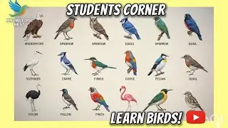 🐦 Birds Name for Kids | Learn with Pictures 🐦#kids 