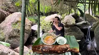 Make A Tent And Catch Fish  To Grill In The Forest / My Daily Life/ Build Shelter And Survival.