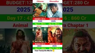 Dhurandhar Box Office Collection | Ranveer Singh | Chhaava | Animal 17th Day Collection,