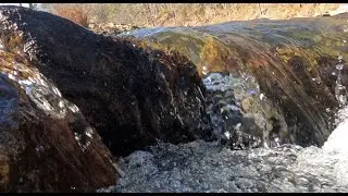 ASMR: Mills River, Pisgah National Park