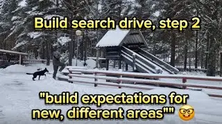 Build search drive, step 2 