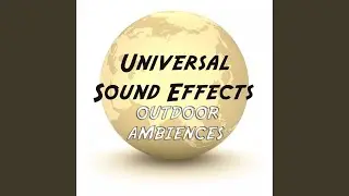 Ambience Train Station Interior Sound Effects Sound Effect Sounds EFX Sfx FX Natural Ambience...