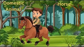 Давайте выучим 10! Животный алфавит, светофоры, фестивали и многое другое | Curious Cubs TV