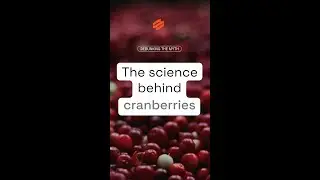The science behind cranberries and UTI prevention