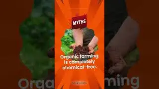 Is Organic Farming Really Chemical-Free? #gardening #garden #plants