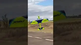 Tork Roll Skywolf Pilot - #iafplane #rcpilot #aviation #airplane #rcplane #3dflight #aerobatics #rbo