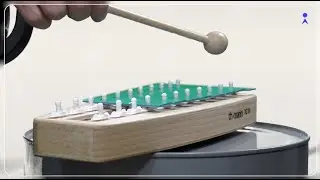 Apprendre la musique dès le plus jeune âge, un passeport pour la réussite à l'école ?