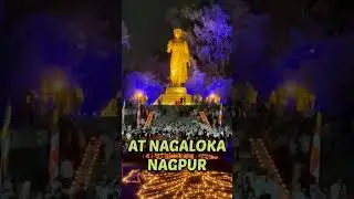 10,000 मोमबत्तियां जलाकर नागलोक में मनाई गई बुद्ध पूर्णिमा 🌼😍 | DELHI TO NEXT | #shorts