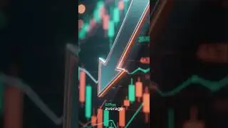 USD Support Decision