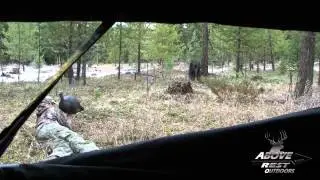 How to Set Up Your Turkey Decoys