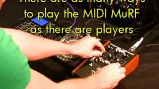 Moog MF-105M MIDI MuRF - a closer look