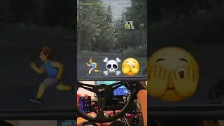 Spectators in Assetto Rally are stressing me out! lol #funny #crash #simracing