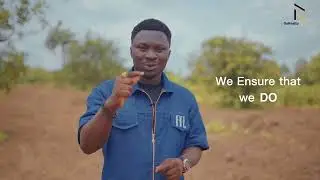 Palm City by GoRealty | Pioneering Agro Real Estate in Nigeria (Cassava & Palm Tree Legacy)