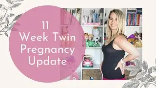 11 Week Twin Pregnancy Update | Heavy Bleeding Scare and Ultrasound Video Footage