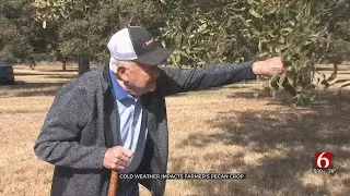 100-Year-Old Bristow Farmer Still Growing Pecans After 70 Years