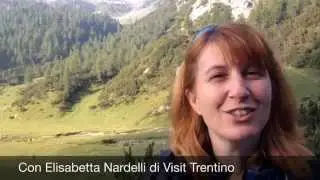 Trentino: Alba in malga, quando l'alpeggio prende vita - #albeinmalga