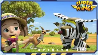 [SUPERWINGS S1] Aussie Animals and more | Superwings | Super Wings | S1 Compilation EP31~40