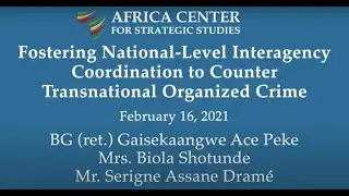 Fostering National-Level Interagency Coordination to Counter Transnational Organized Crime