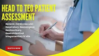 Head to Teo Patient Assessment During handover | Nursing Assessment For Effective Communication