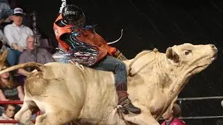Alexandre Cardozo puts up 87.50 points on White Lie (PBR)