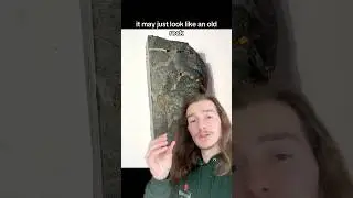 Это окаменелость возрастом два миллиарда лет