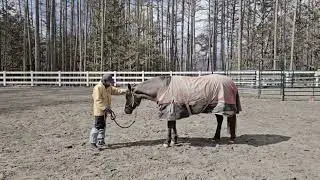 リラとお勉強・グランドワーク