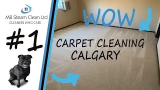 Carpet Cleaning Calgary