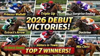 2026 Debut Winners: Top 7 Horse Racing Races You Can't Miss! @horseracesinfo