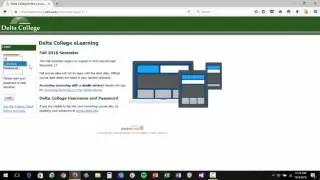 D2L Setting Default Font Size