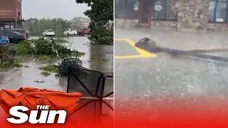 'Just carnage': downed trees and traffic lights as storms rip through south Denver